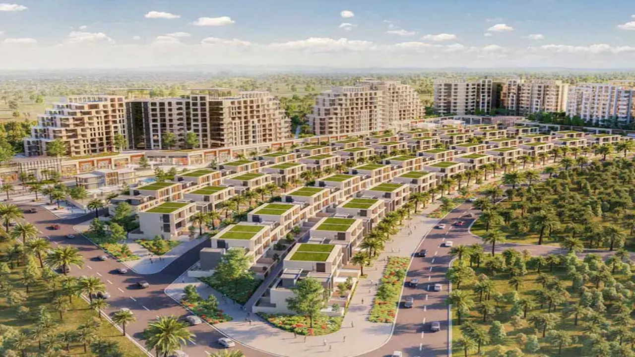 Jebel Ali Village Investment Guide — Mitchell's Realty