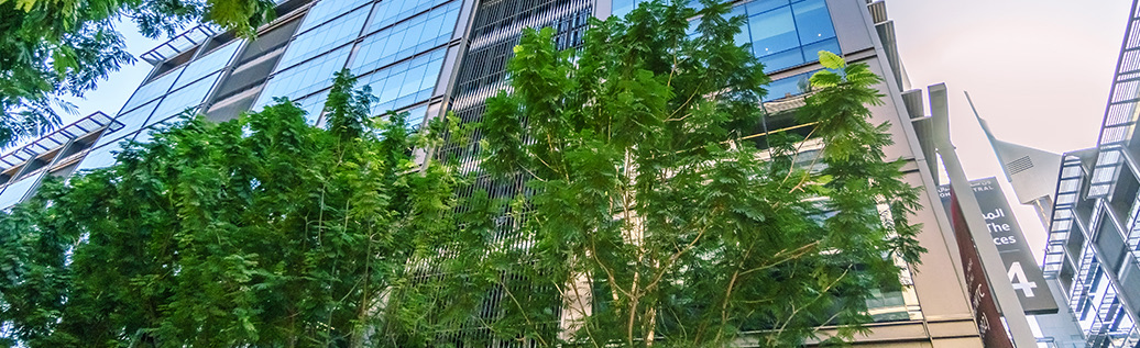 The Offices 4 — Mitchell's Commercial Real Estate